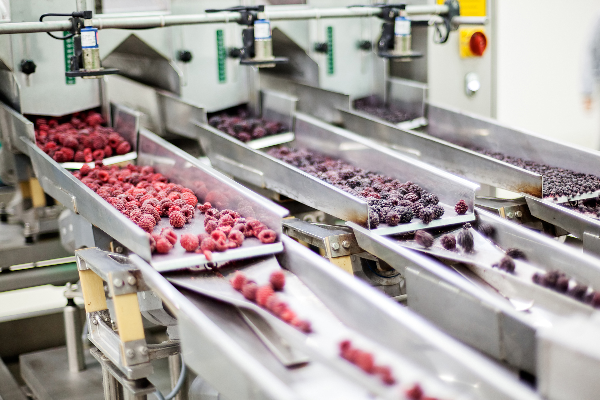 balls-industry-food